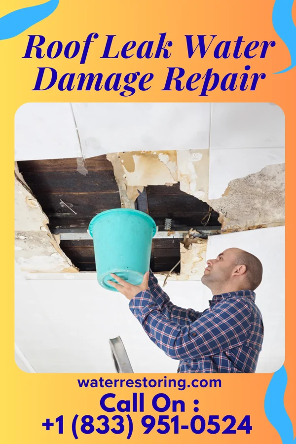 Roof Leak Water Damage Repair in Gladstone, ND